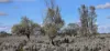 1 and 2, Twill Road, Mount Mary, SA 5374-Image