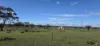 1 and 2, Twill Road, Mount Mary, SA 5374-Image