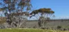 1 and 2, Twill Road, Mount Mary, SA 5374-Image