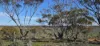 1 and 2, Twill Road, Mount Mary, SA 5374-Image
