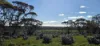 1 and 2, Twill Road, Mount Mary, SA 5374-Image