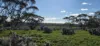 1 and 2, Twill Road, Mount Mary, SA 5374-Image