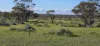 1 and 2, Twill Road, Mount Mary, SA 5374-Image