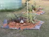 1 Barr Street, Hivesville, Qld 4612-Image