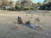 1 Barr Street, Hivesville, Qld 4612-Image