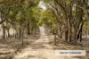 1 Barry Lane, Tooborac, Vic 3522-Image