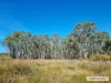 1 Barry Lane, Tooborac, Vic 3522-Image