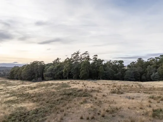 1 Glendale Road, Sidmouth, Tas 7270