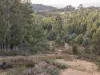 1 Glendale Road, Sidmouth, Tas 7270-Image