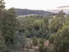 1 Glendale Road, Sidmouth, Tas 7270-Image