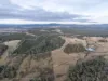 1 Glendale Road, Sidmouth, Tas 7270-Image