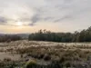 1 Glendale Road, Sidmouth, Tas 7270-Image