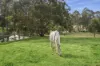 1 Valley Ridges Road, Bilpin NSW 2758-Image