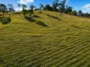 1, Valley Road, Cherry Creek, Qld 4314-Image