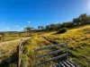 1, Valley Road, Cherry Creek, Qld 4314-Image