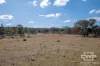 10 & 12, - Gulf Road, Emmaville, NSW 2371-Image
