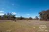 10 & 12, - Gulf Road, Emmaville, NSW 2371-Image