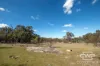 10 & 12, - Gulf Road, Emmaville, NSW 2371-Image