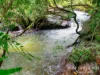 10, Hemming Lane, Upper Barron, Qld 4883-Image
