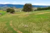 10 Kingsmere Lane, Yea, Vic 3717-Image