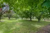10 Porter Lane, Mirboo North, Vic 3871-Image