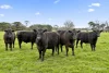 10 Rohans Road, Elingamite, Vic 3266-Image