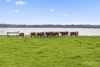 10 Rohans Road, Elingamite, Vic 3266-Image