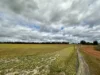 100 Carr Road, Kokeby, WA 6304-Image