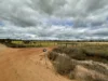 100 Carr Road, Kokeby, WA 6304-Image