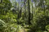 1000 Urliup Road, Urliup, NSW 2484-Image