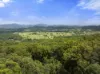 1000 Urliup Road, Urliup, NSW 2484-Image