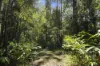 1000 Urliup Road, Urliup, NSW 2484-Image