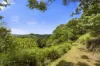 1000 Urliup Road, Urliup, NSW 2484-Image
