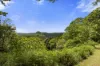 1000 Urliup Road, Urliup, NSW 2484-Image
