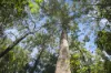 1000 Urliup Road, Urliup, NSW 2484-Image