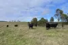 1005 Mount Rae Road, Taralga, NSW 2580-Image