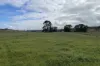 1005 Mount Rae Road, Taralga, NSW 2580-Image