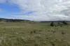 1005 Mount Rae Road, Taralga, NSW 2580-Image