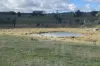 1005 Mount Rae Road, Taralga, NSW 2580-Image