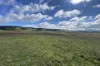 1005 Mount Rae Road, Taralga, NSW 2580-Image