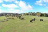 1005 Mount Rae Road, Taralga, NSW 2580-Image
