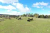 1005 Mount Rae Road, Taralga, NSW 2580-Image