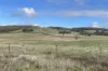 1005 Mount Rae Road, Taralga, NSW 2580-Image