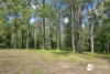 101 Ballengara Road, Dondingalong, NSW 2440-Image