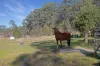 101 Booral Road, Bulahdelah NSW 2423-Image
