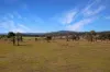 101 Booral Road, Bulahdelah NSW 2423-Image