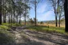 101 Booral Road, Bulahdelah NSW 2423-Image