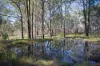 101 Booral Road, Bulahdelah NSW 2423-Image