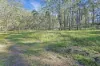 101 Booral Road, Bulahdelah NSW 2423-Image