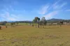 101 Booral Road, Bulahdelah NSW 2423-Image